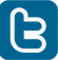 Websurf Twitter
